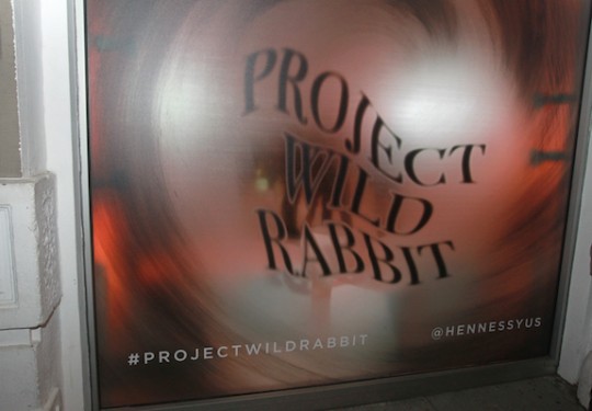 D49G1125 540x375 - Event Recap: Project Wild Rabbit: Gallery 24 #ProjectWildRabbit @HennessyUS #Art