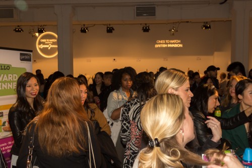 AT 5763 500x333 - Event Recap: Lingerie Fashion Week #SS15 @LingerieFW #LFWNY