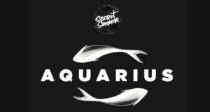 Screen Shot 2019 01 21 at 12.24.04 PM 300x160 - Aquarius Seafood Festival at The Foundry January 26, 2019 @secretsummernyc #aquarius #thefoundrylic @AssantePR #secretsummernyc #nyc
