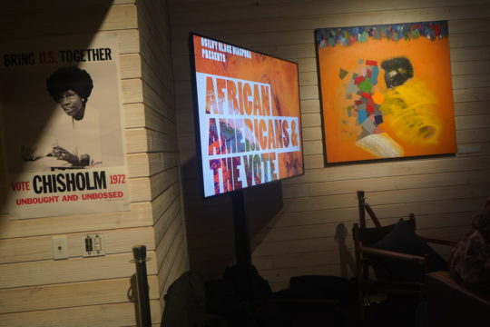 photos by Stella Magloire 224 540x360 - Event Recap: African Americans and The Vote Exhibition