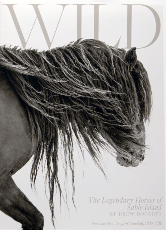 Book Promo 014 1 Crop 540x750 - Wild: The Legendary Horses of Sable Island by Drew Doggett