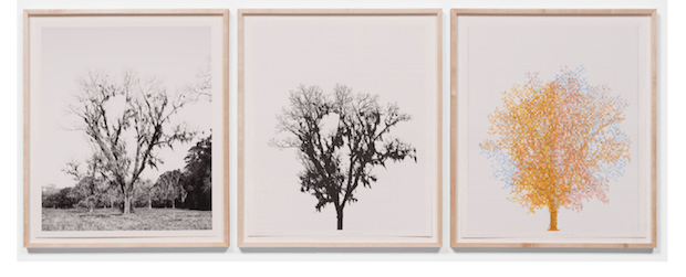 Charles Gaines Southern Trees  - Charles Gaines: Southern Trees January 26- April 1, 2023 at Hauser & Wirth