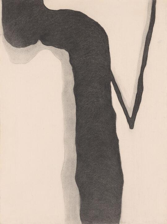 DDRAWINFX 540x721 - Georgia O’Keeffe: To See Takes Time April 9 - August 12, 2023