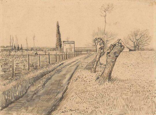 1 Van Gogh Landscape with Path and Pollard Willows March 1888 VGM fig 1 540x400 - Van Gogh’s Cypresses: May 22 through August 27, 2023