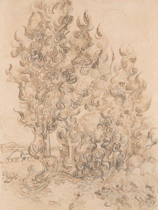 9 Van Gogh Cypresses Drawing June 1889 Art Institute of Chicago fig 68 540x715 - Van Gogh’s Cypresses: May 22 through August 27, 2023