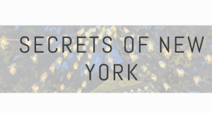 Screen Shot 2023 05 11 at 12.04.20 PM 300x160 - Event Recap: Sonya Sklaroff - Secrets of New York Opening Reception