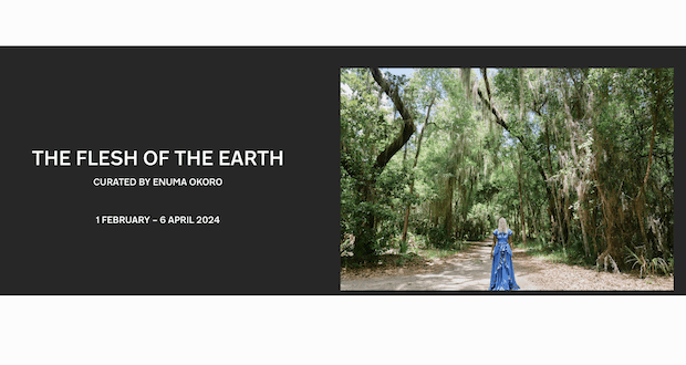 Screen Shot 2024 02 05 at 8.04.39 PM 620x330 - The Flesh of the Earth: February 1 – April 6, 2024 Curated by Enuma Okoro